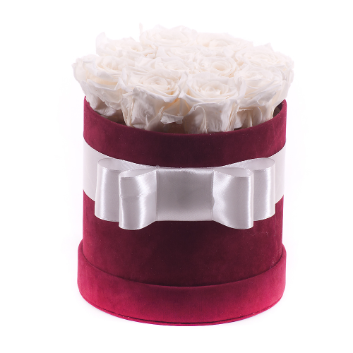 Preserved bordo suede round box 11 cream roses "M" 