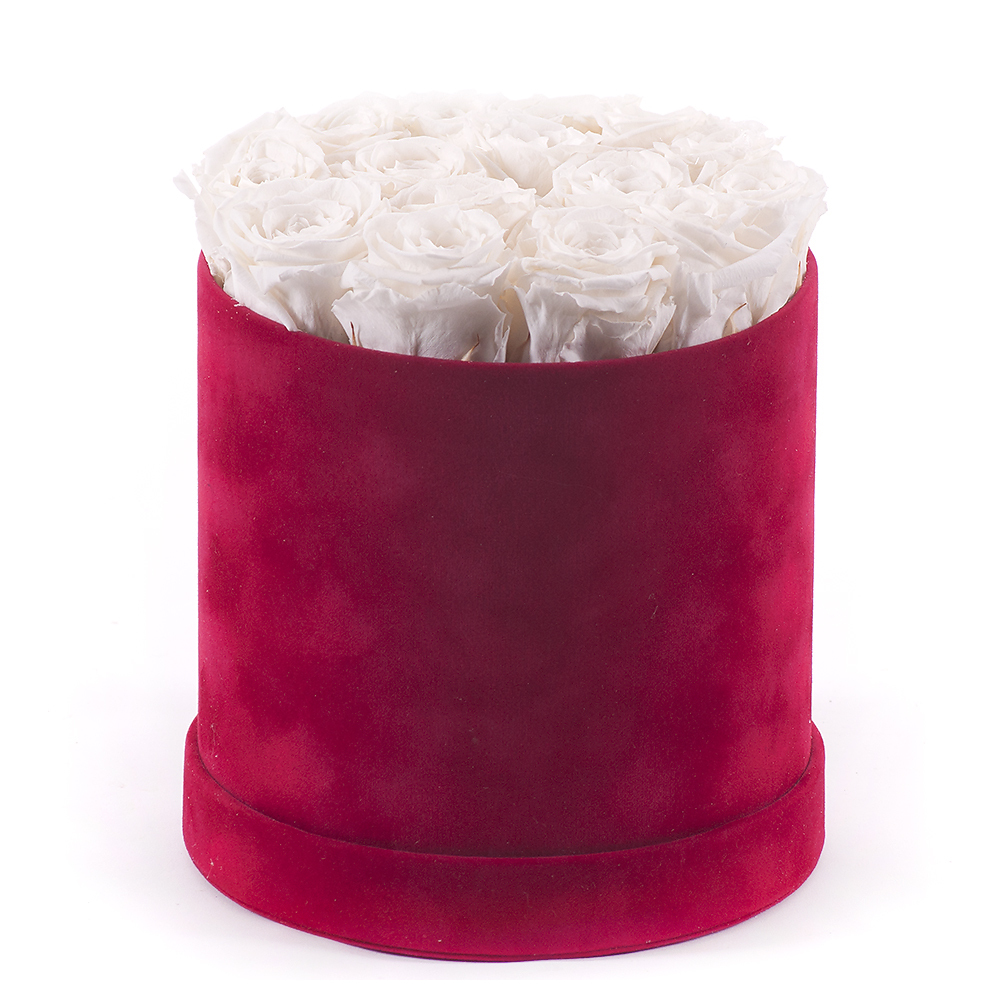 Preserved red suede round box 15 cream roses "L"