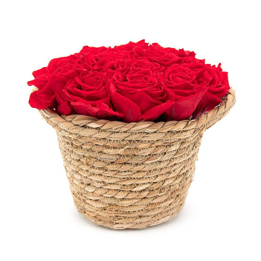In eterno prútený košík 13 červených ruží